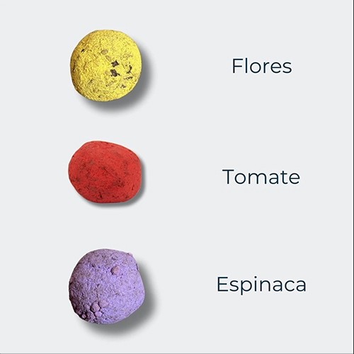 Ecobolsa bombas de semilla