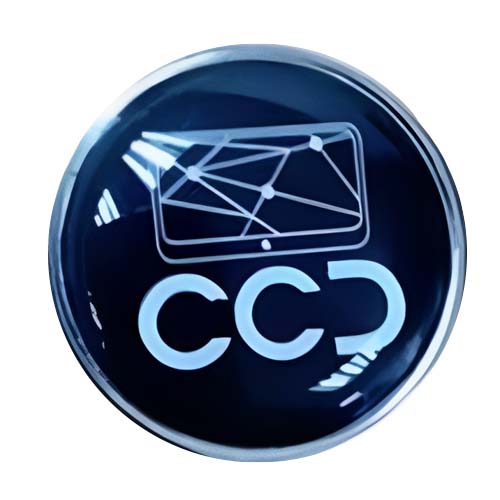 Pin Digital