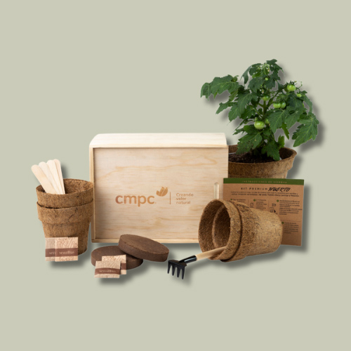 Caja premium huerto	